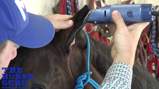 Clipping