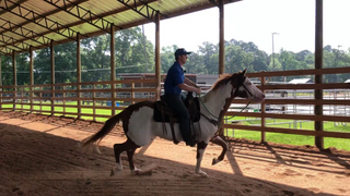 Riding A Spooky, Young, Athletic Horse - The Power Of Left & Right