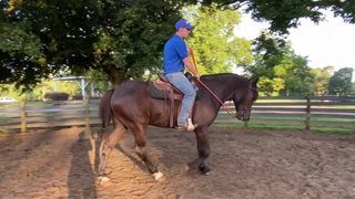 Neck Reining Part 3