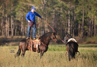 Mastering the One Rein Stop
