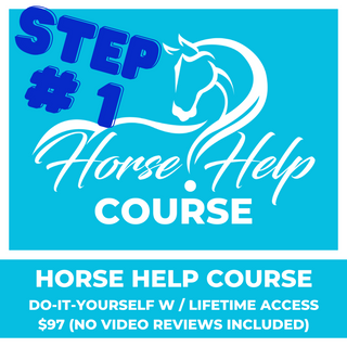 Promotional image for the Horse Help Course featuring a DIY option with lifetime access valued at $97, excluding video reviews. Unlock valuable equestrian knowledge and skills at your own pace.