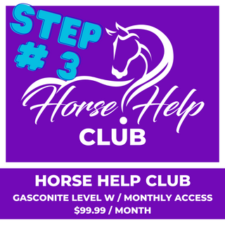 Image featuring the Horse Help Club Gasconite level with monthly access, valued at $99.99 per month. Elevate your equestrian journey with premium features, personalized coaching, and exclusive perks on a flexible monthly subscription plan.
