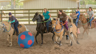 Jolly Mega Ball Cover