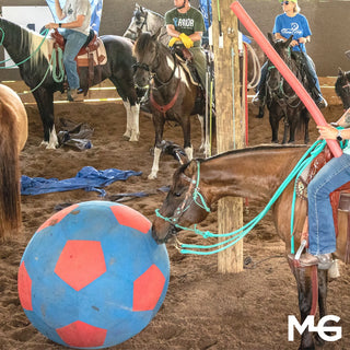 Jolly Mega Ball Cover