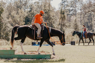 Horse Help retreat participants navigate obstacles with their horses during an obstacle course session.