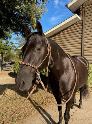 MG Halter, Lead Rope, Reins Full Set