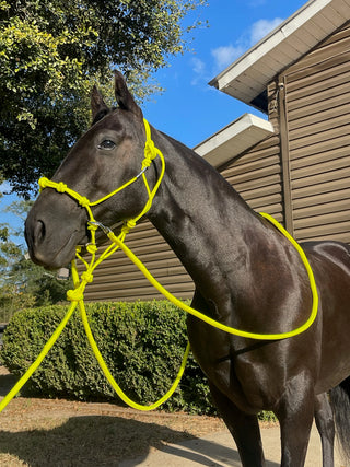 MG Halter, Lead Rope, Reins Full Set