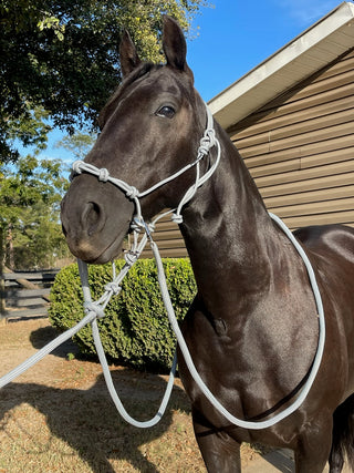 MG Halter, Lead Rope, Reins Full Set