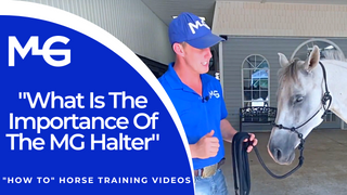 Michael Gascon with a horse showcasing the MG Halter and Lead Rope - Thumbnail for 'How To' Horse Training Video, explaining the importance of the MG Halter in horse training.