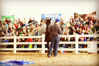 Michael Gascon actively teaching attendees during a Gascon horsemanship clinic, sharing knowledge and skills in equestrian training.