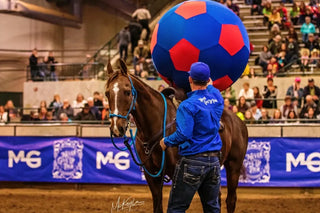 Michael Gascon actively teaching participants and auditors during a Gascon horsemanship clinic, sharing knowledge and skills in equestrian training.