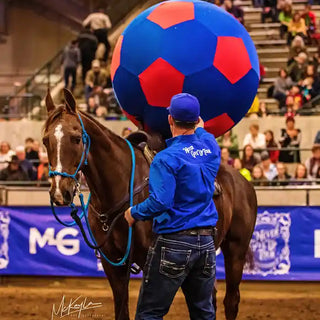 Michael Gascon actively teaching participants and auditors during a Gascon horsemanship clinic, sharing knowledge and skills in equestrian training.