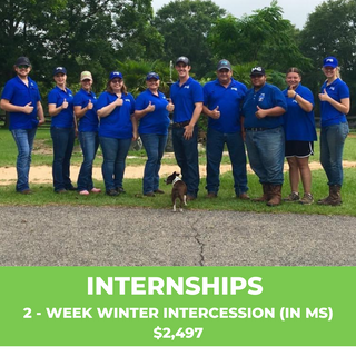Michael Gascon posing with interns from the Horse Help Internship program. This image is used as a promotional feature for a 2-week winter intercession valued at $2,497. Michael Gascon stands in the center, surrounded by interns, all smiling and engaged, symbolizing the intensive and focused learning experience offered during the intercession.