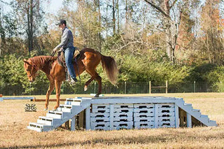 Michael Gascon guiding a horse through an obstacle in the obstacle course, demonstrating skillful horsemanship and teamwork in a challenging environment.