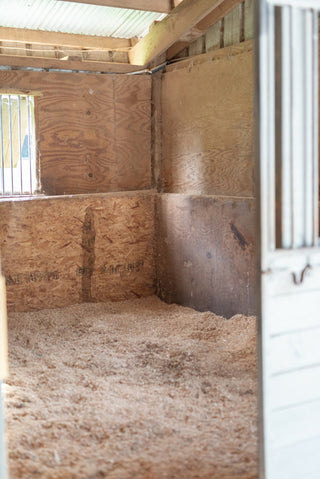 Spacious stable at Horse Haven Ranch, providing a secure and comfortable home for horses with well-maintained stalls and equestrian amenities.