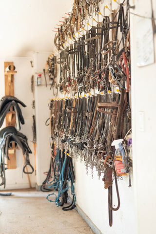 Gascon Horsemanship's well-stocked shed showcasing an array of high-quality halters, bridles, saddles, and various tack essentials for horse training and riding.
