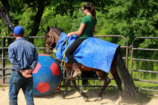 Q&A: Addressing Stiffness At The Canter & Farrier Issues