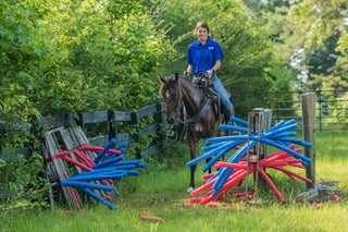 Mastering Obstacles: Building Trust and Control with Your Horse