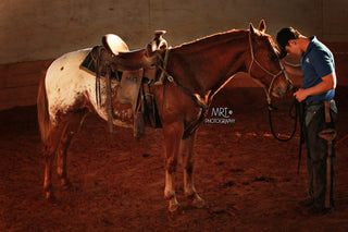 Essential Horse Training Techniques: Communication, Respect, and Safety