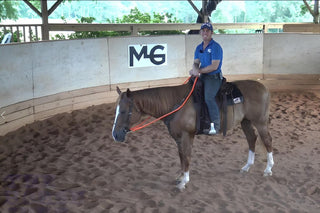 Building Rider Confidence At The Canter