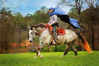 Dealing With Anxious Horses