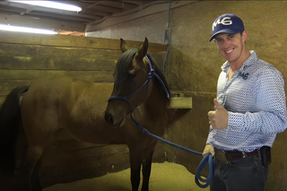Catching & Handling Horses in the Stall