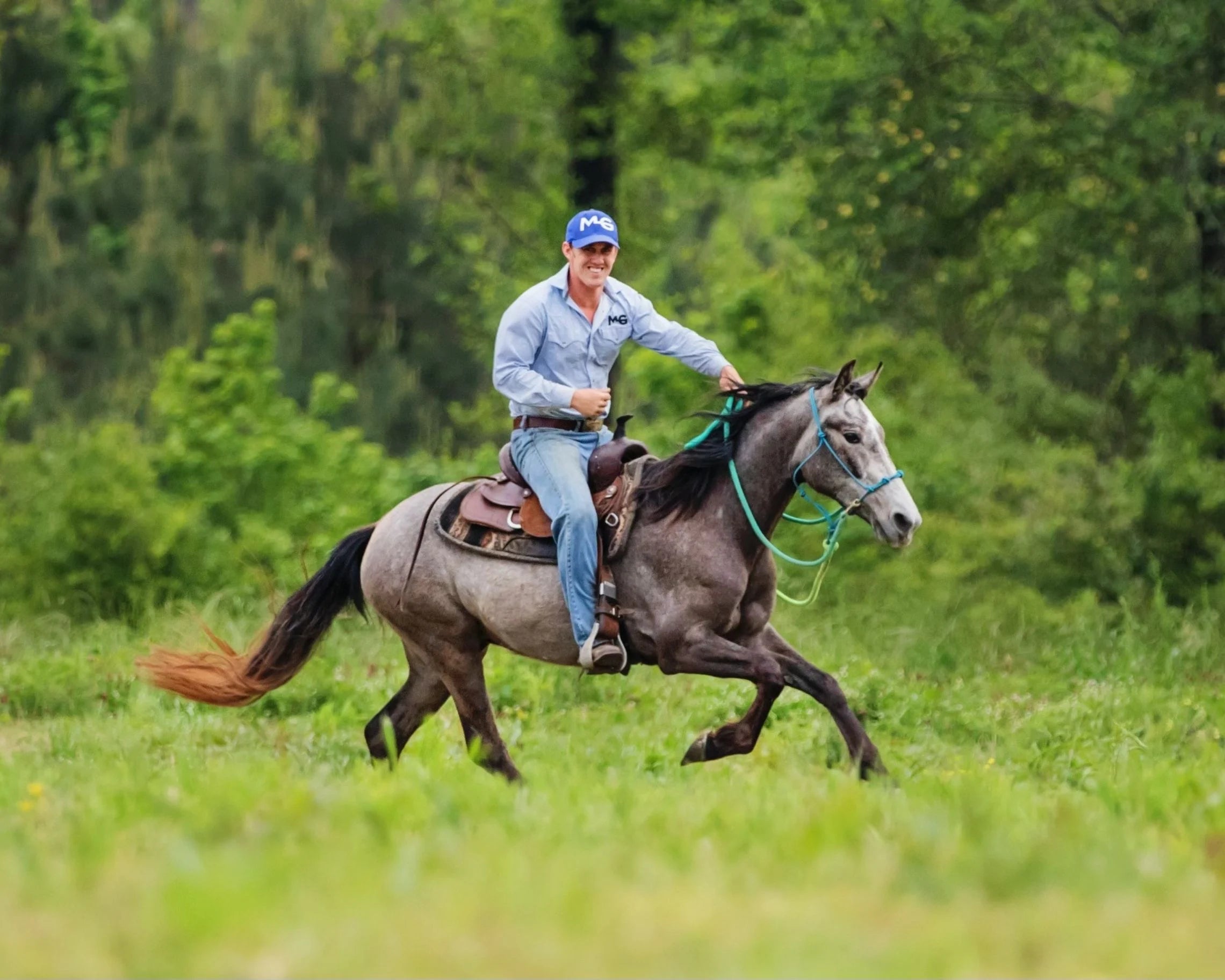 How to Slow Your Horse in an Open Field – Horse Help