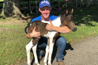 How Young Is Too Young to Start Training Your Horse?