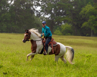 From Halter To Bit Transition
