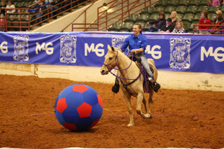 Playing Horse Soccer