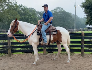 Loose Rein VS Contact Rein