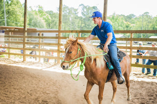 Can Bag Game For Horses
