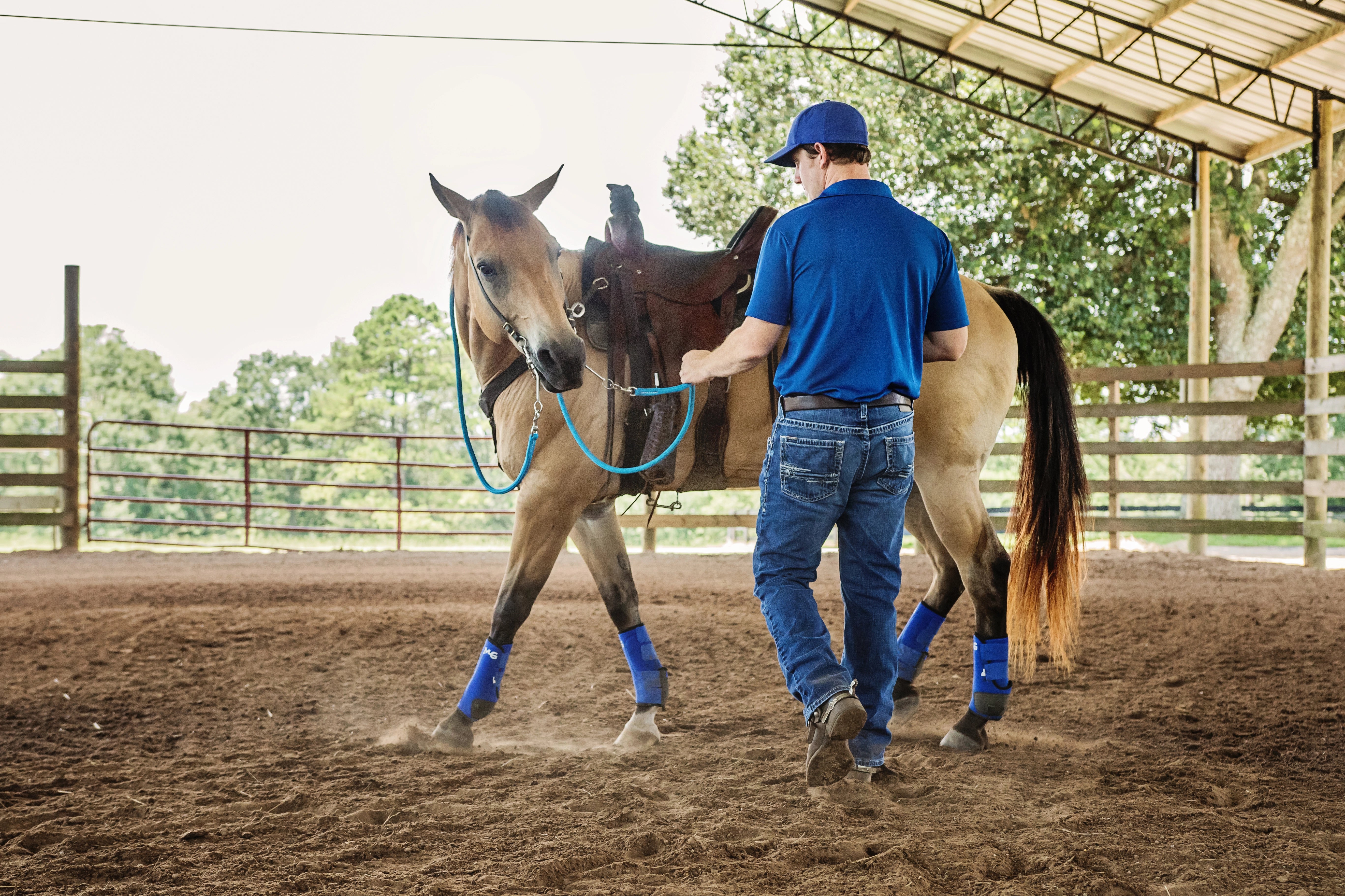 Tying Your Horse To A H Post – Horse Help