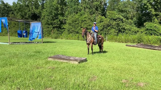 Walking On A Mattress With A Green Horse