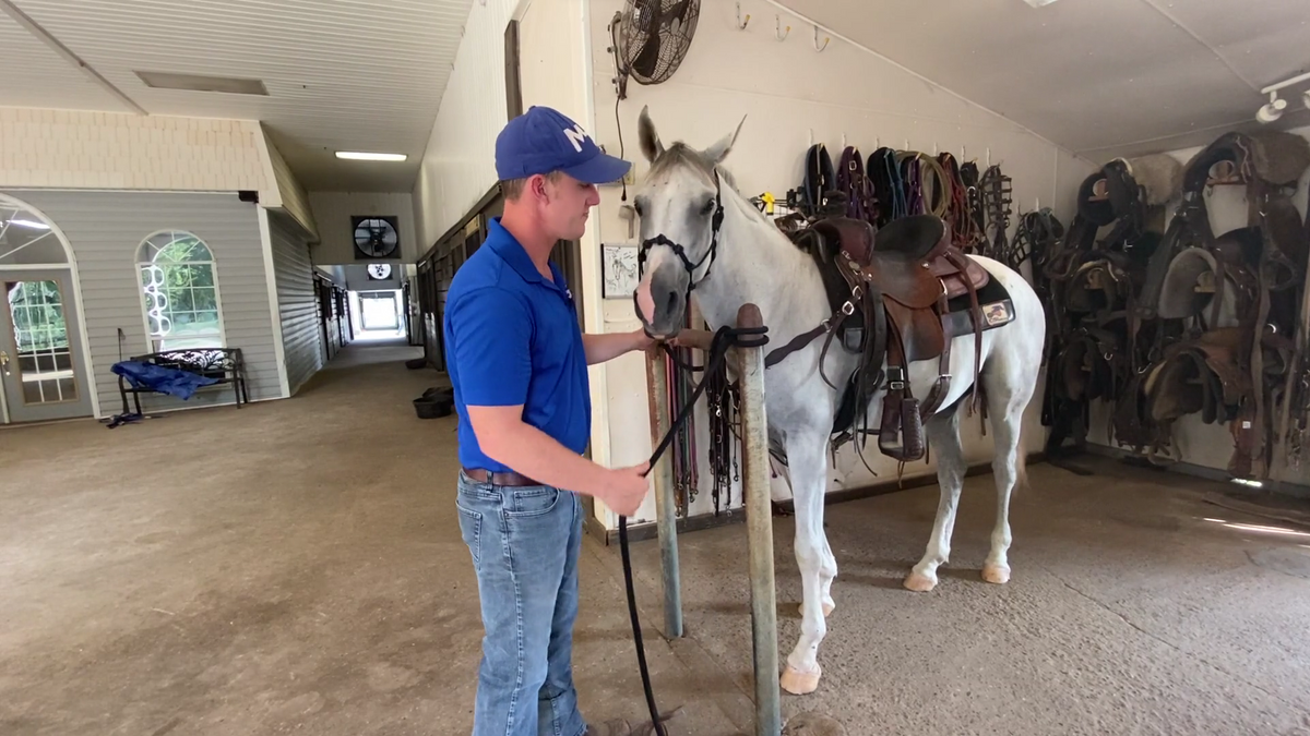 Tying To A Hitching Post – Horse Help