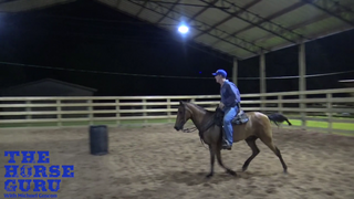 Cantering Gaited Horses
