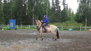 Button Using Your Hands On The Reins