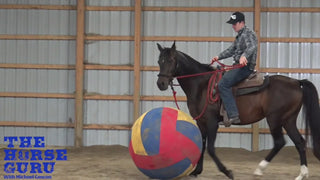 Building Speed On A Green Horse