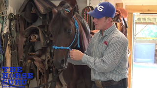MG Halter (Rein Placement)
