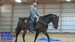 Getting A Horse To Drop Its Head By Using Your Legs