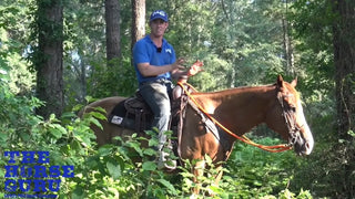 Negative Horse Interaction On The Trail