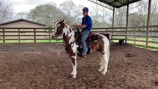 Benefits Of Roping On Your Gaited Horse