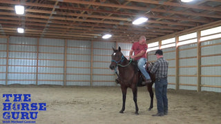 Getting Your Horse's Attention With Belle Day 2