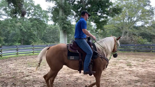 Turn And Burn Exercise For Spins/Spinning