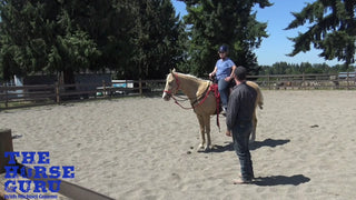 Transitioning To Bitless