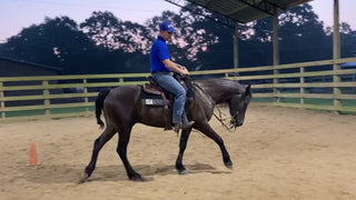 Getting The Head Down