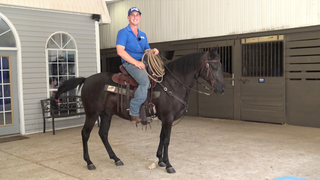 Intro To Roping - Roping From The Horse