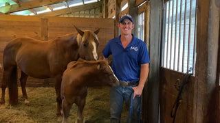 Working With a Foal - Leading & Intro To A Butt Rope