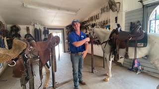 Benefits Of The MG Saddle