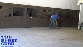 Picking Up Feet On A Hot Colt For The First TIme